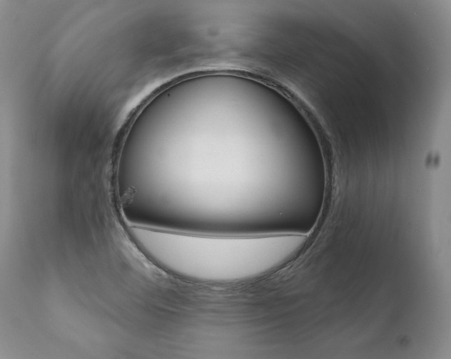 X0000112001460200908031035