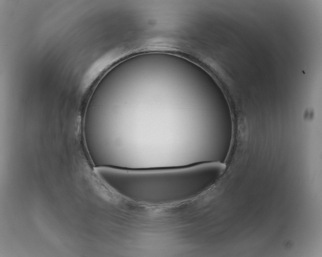 X0000112001461200908031035