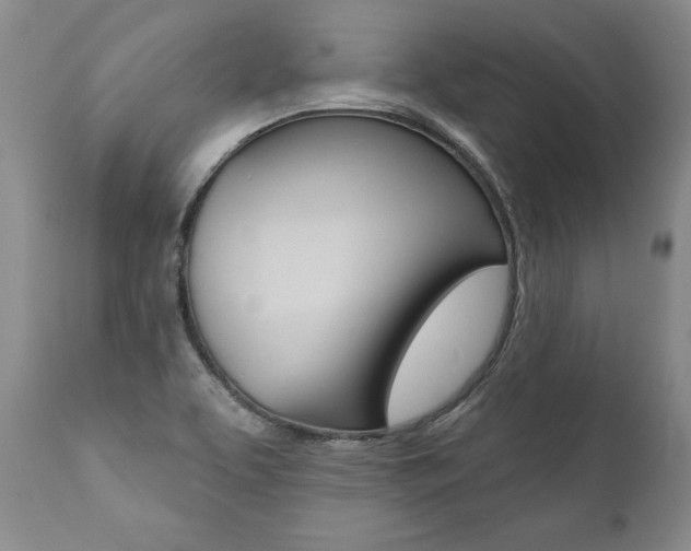 X0000112001463200908031035