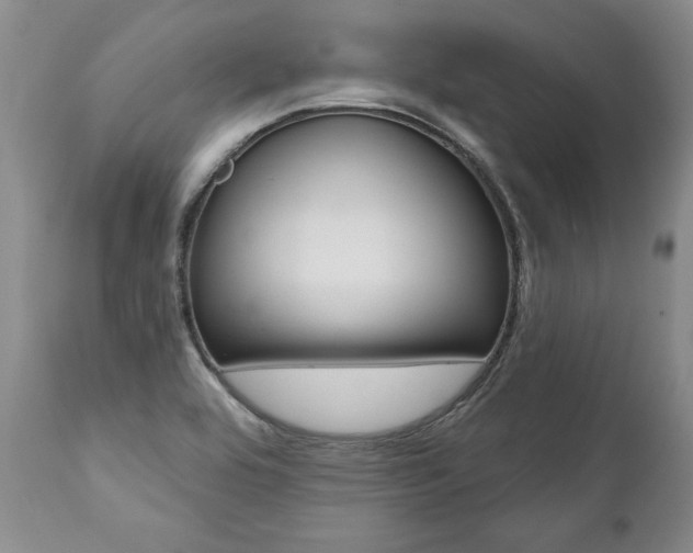X0000112001464200908031035