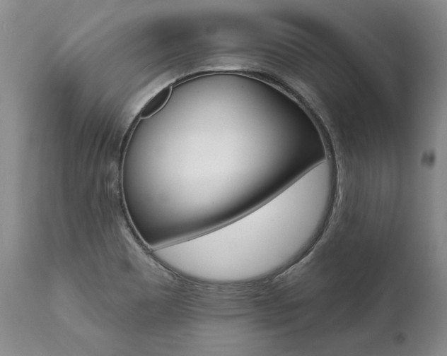 X0000112001465200908031035