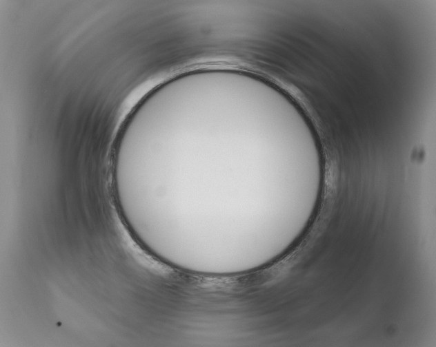 X0000112001466200908031035