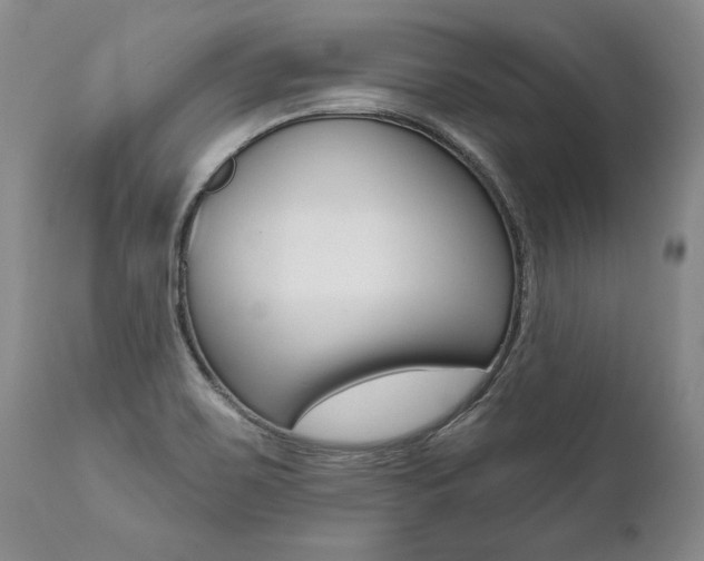 X0000112001467200908031035