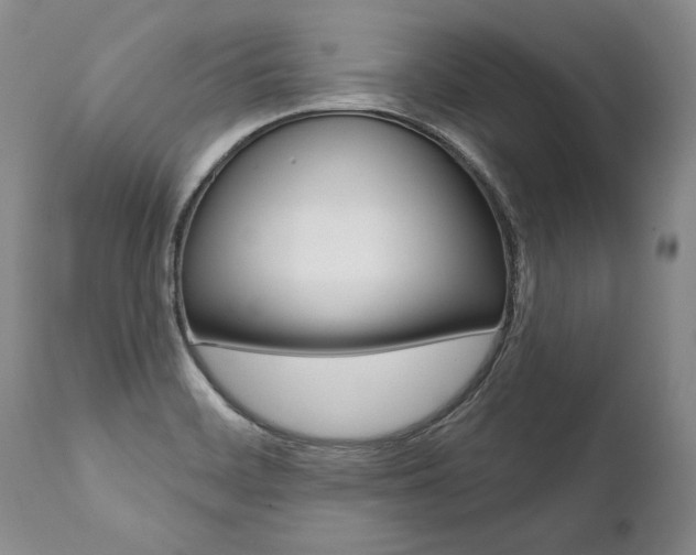 X0000112001468200908031035
