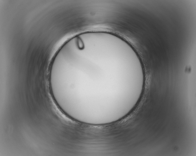 X0000112001470200908031035