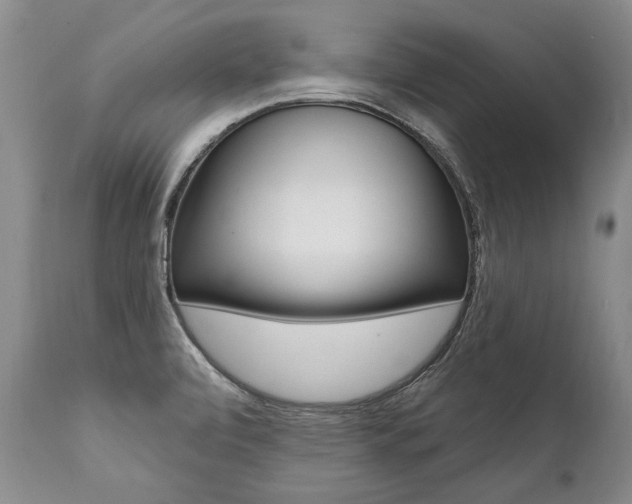 X0000112001472200908031035