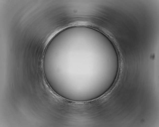 X0000112001473200908031035