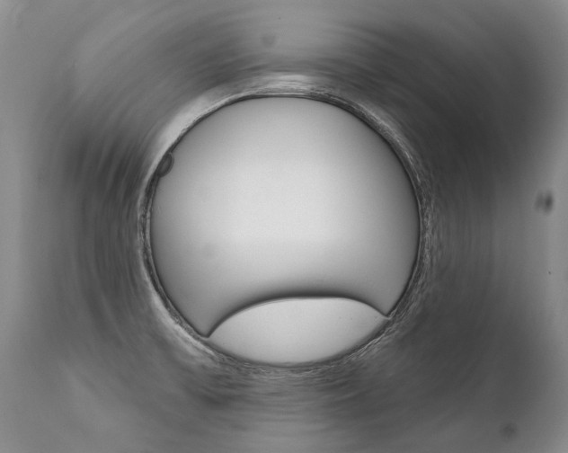 X0000112001475200908031035