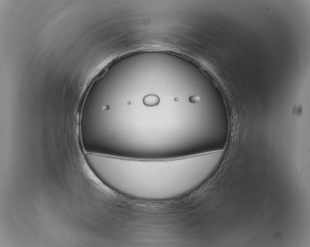 X0000112001476200908031035
