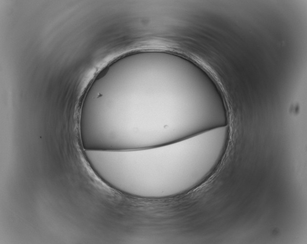 X0000112001477200908031035