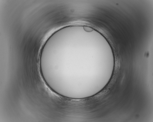 X0000112001478200908031035