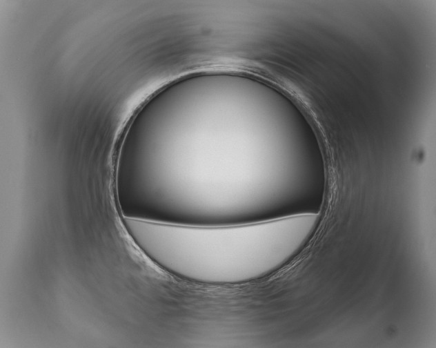 X0000112001480200908031034