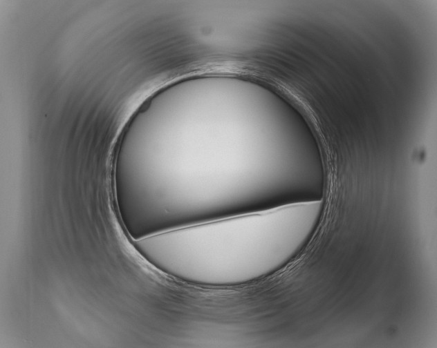 X0000112001483200908031034