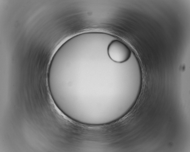 X0000112001484200908031034
