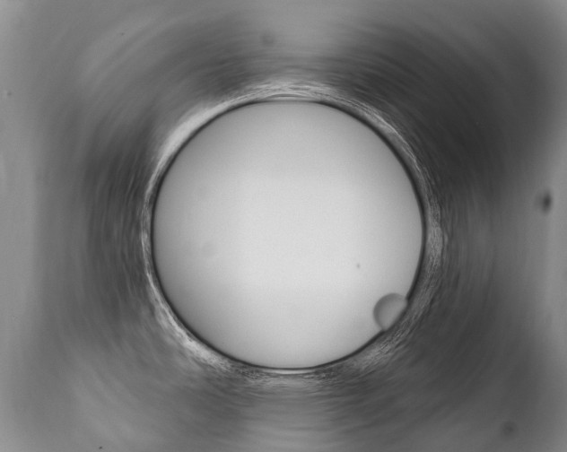 X0000112001486200908031034