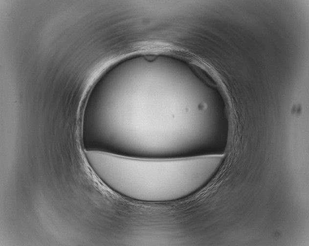 X0000112001488200908031034
