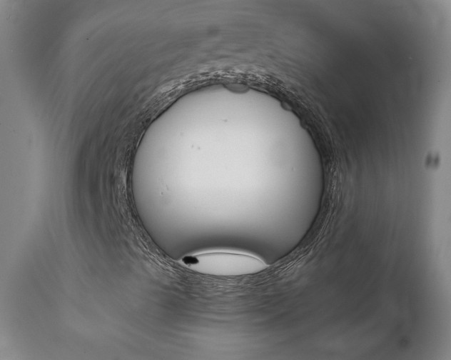 X0000112001489200908031034