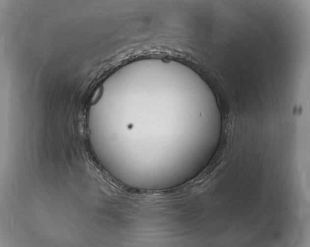 X0000112001490200908031034