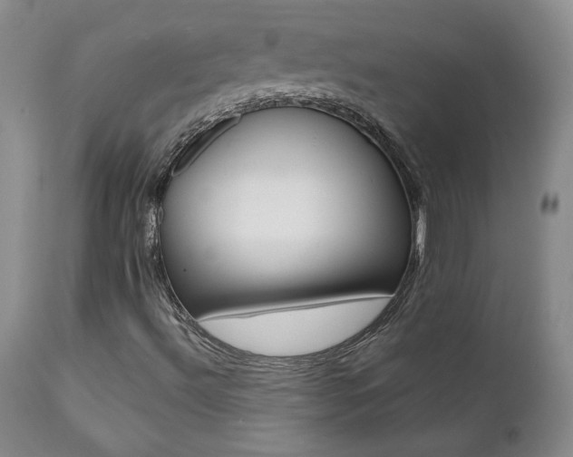X0000112001492200908031034