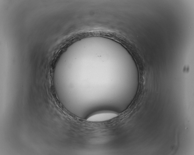 X0000112001493200908031034