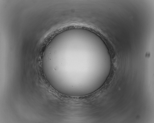X0000112001495200908031034