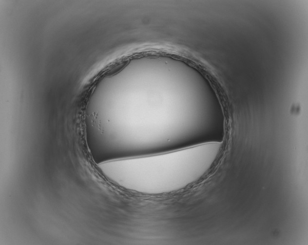 X0000112001496200908031034