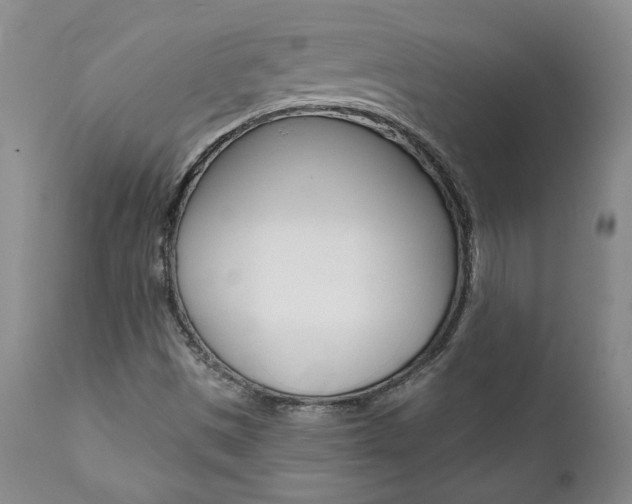 X0000112001497200908031034
