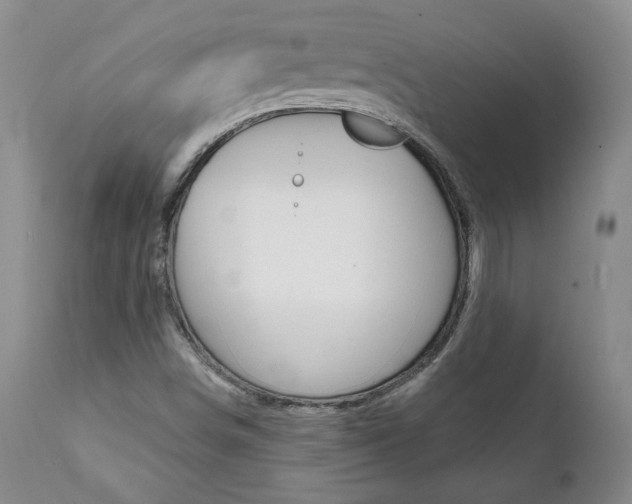 X0000112001498200908031034