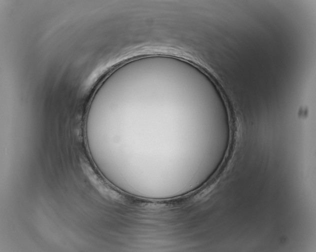 X0000112001499200908031034