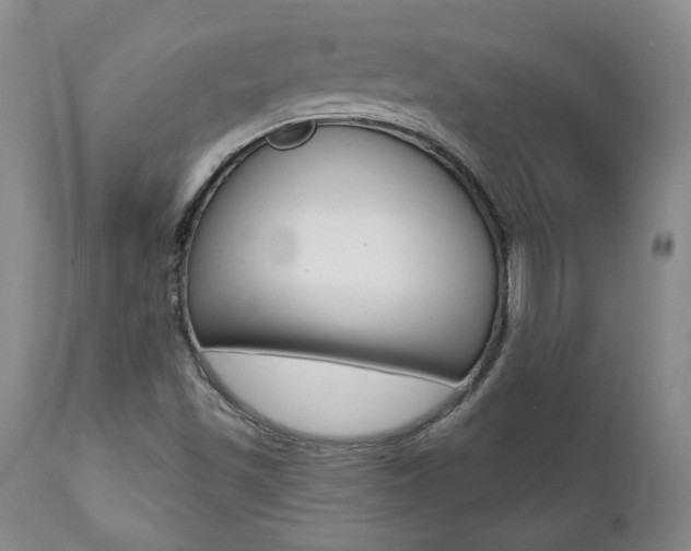 X0000112001501200908031034