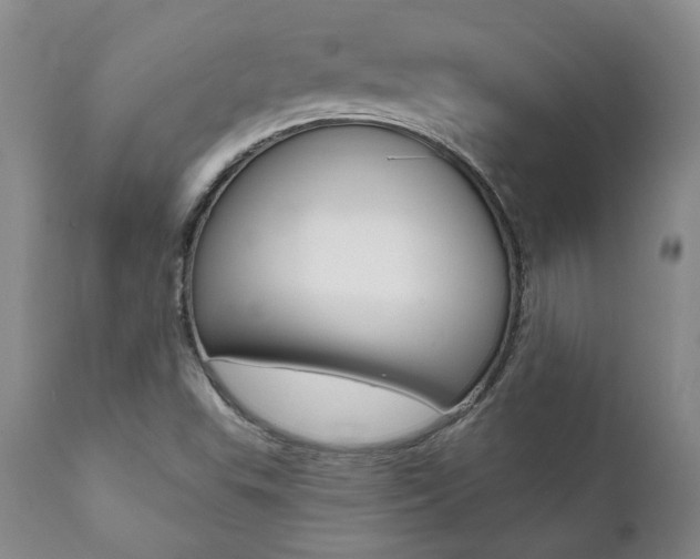 X0000112001503200908031034