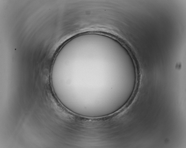 X0000112001505200908031034