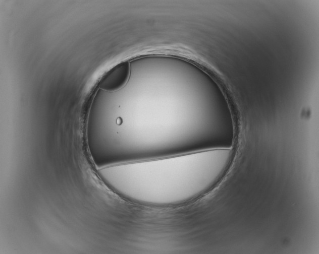 X0000112001506200908031034