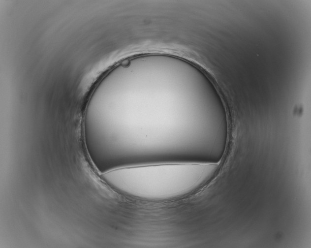 X0000112001507200908031034