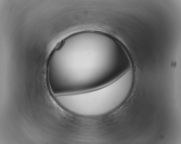 X0000112001508200908031034
