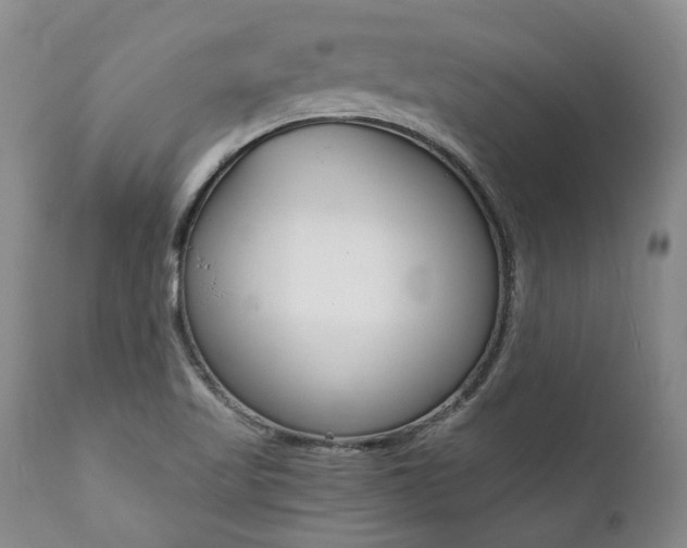 X0000112001509200908031034