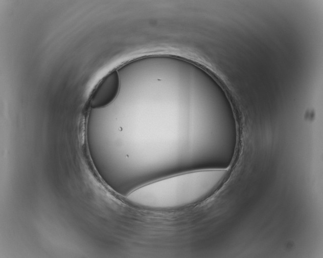X0000112001510200908031034