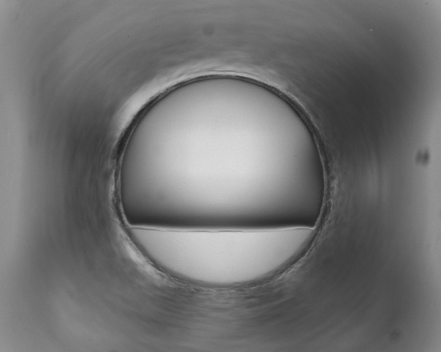 X0000112001511200908031034