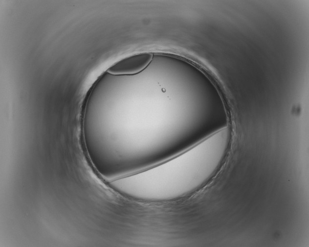 X0000112001512200908031034