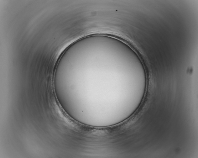 X0000112001513200908031034