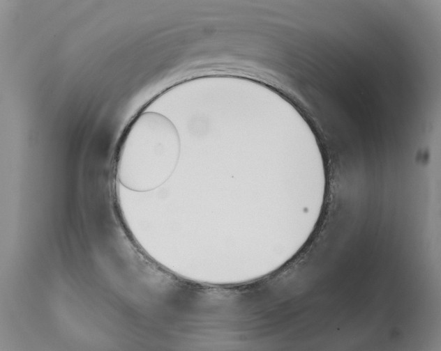 X0000112001514200908031034