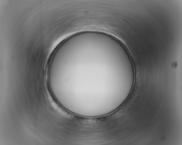 X0000112001515200908031034