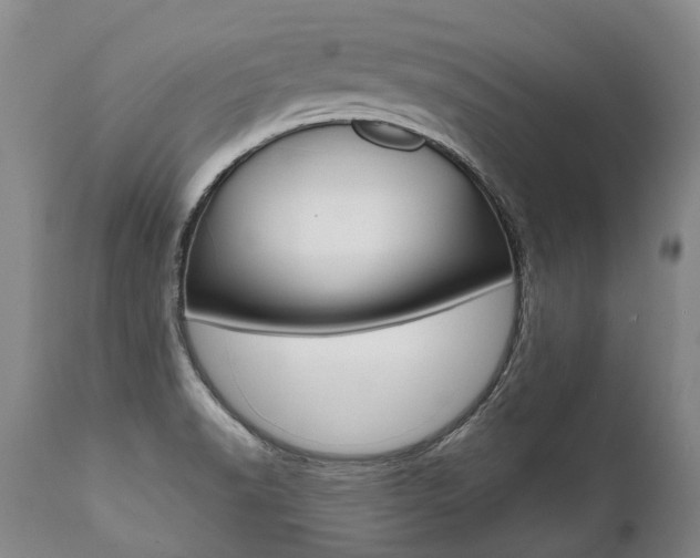 X0000112001518200908031034