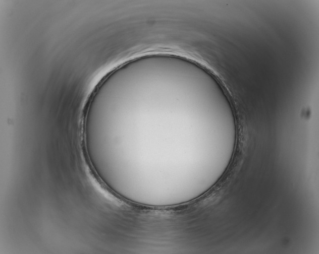 X0000112001519200908031034