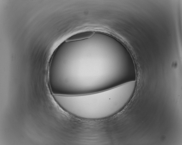 X0000112001520200908031034