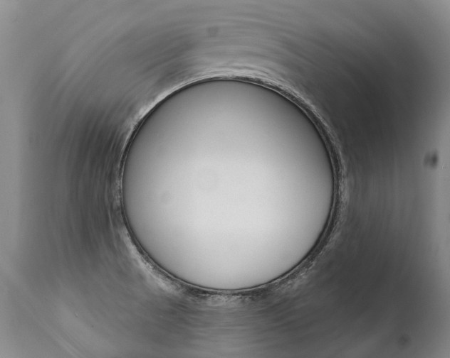 X0000112001521200908031034