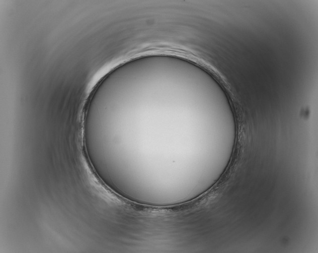 X0000112001522200908031034