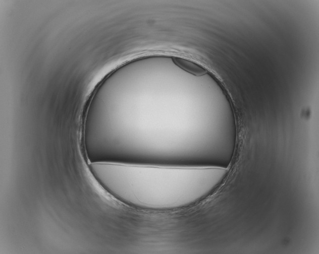 X0000112001523200908031034