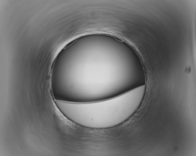 X0000112001524200908031034