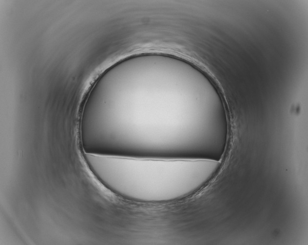 X0000112001525200908031034